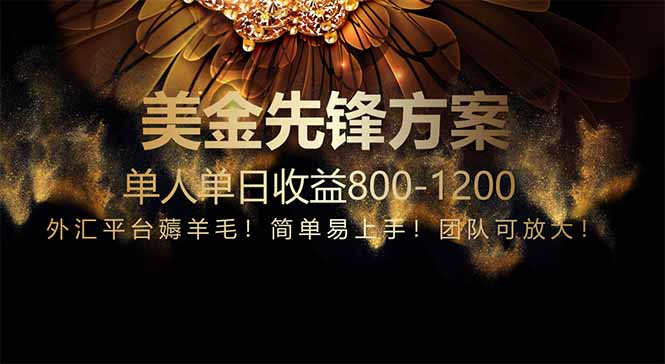 免费技术！小众赛道！一年布局抵三年努力，每日800+-五六七网创电商学院