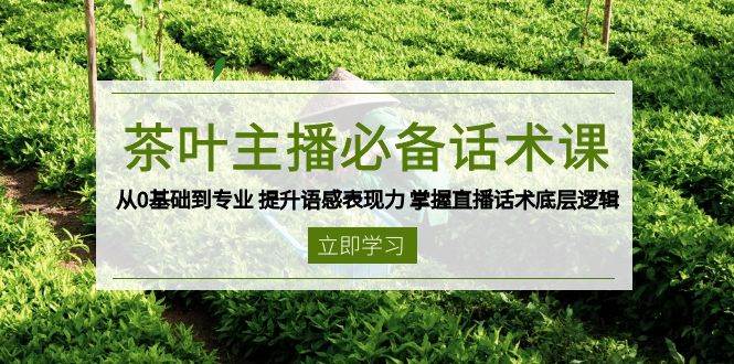 茶叶主播必备话术课 从0基础到专业 提升语感表现力 掌握直播话术底层逻辑-五六七网创电商学院