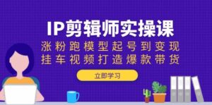 IP剪辑师实操课：涨粉跑模型起号到变现，挂车视频打造爆款带货-五六七网创电商学院