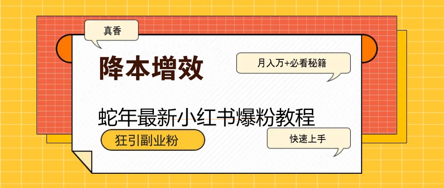 蛇年最新小红书爆粉教程，狂引副业粉，月入万+必看-五六七网创电商学院