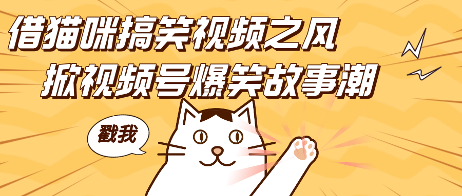 借猫咪搞笑视频之风，掀视频号爆笑故事潮，轻松日赚四位数，开启无门槛赚钱新体验！-五六七网创电商学院