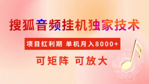 全网首发【搜狐音频挂机】独家技术，项目红利期，可矩阵可放大，稳定月入8000+-五六七网创电商学院