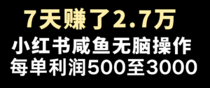 全网首发，7天赚了2.6万，2025利润超级高！-五六七网创电商学院
