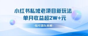 小红书私域项目新玩法，单月变现过W+-五六七网创电商学院