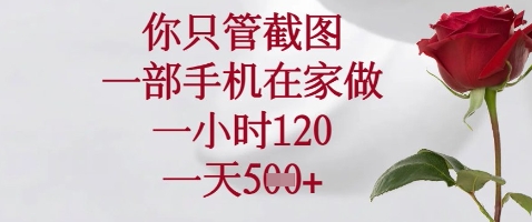 你只管截图，一部手机在家做，苹果安卓都可以，一小时120，一天5张+【揭秘】-五六七网创电商学院