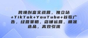 跨境创富实战营，独立站+TikTok+YouTube+谷歌广告，经营策略，店铺运营，精准选品，高效引流-五六七网创电商学院