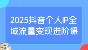 2025抖音个人IP全域流量变现进阶课：选爆品、抖音付费投流、千川投流实操及优化等-五六七网创电商学院