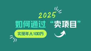 2025年如何通过“卖项目”实现年入100w-五六七网创电商学院