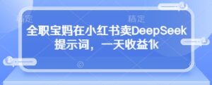 全职宝妈在小红书卖DeepSeek提示词，一天收益1k-五六七网创电商学院