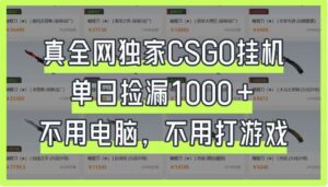 真全网独家CSGO挂机，单日捡漏1000+，不用电脑，不用养号-五六七网创电商学院
