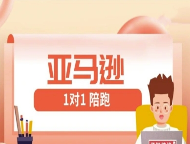 亚马逊1对1陪跑课(FBA/FBM精铺)跨境亚马逊教程-五六七网创电商学院