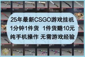 25年最新CSGO游戏挂G，1分钟1件货，1件货挣10元，纯手机操作，无需游戏经验【揭秘】-五六七网创电商学院