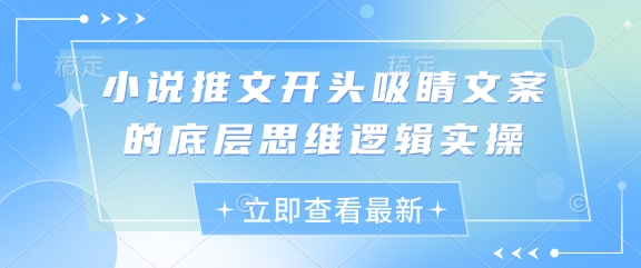 小说推文开头吸睛文案的底层思维逻辑实操-五六七网创电商学院