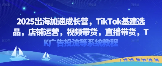 2025出海加速成长营，TikTok基建选品，店铺运营，视频带货，直播带货，TK广告投流等系统教程-五六七网创电商学院
