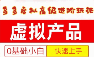 25拼多多虚拟资料高级进阶玩法，小白也能快速上手，保姆级教程-五六七网创电商学院