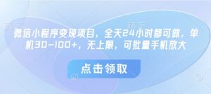 微信小程序变现项目，全天24小时都可做，单机30-100+，无上限，可批量手机放大-五六七网创电商学院