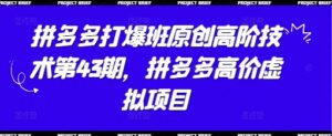 拼多多打爆班原创高阶技术第43期，拼多多高价虚拟项目-五六七网创电商学院