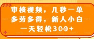 视频审核员，几秒一单，不限时间，不限地点，多做多得，新人小白一天轻松几张+【揭秘】-五六七网创电商学院