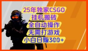 25年独家CSGO挂G搬砖，全自动操作，无需打游戏，小白日入3张+【揭秘】-五六七网创电商学院
