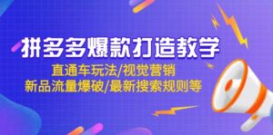 拼多多爆款打造教学：直通车玩法/视觉营销/新品流量爆破/最新搜索规则等-五六七网创电商学院