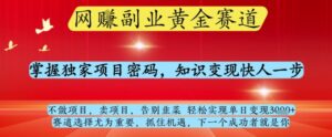 网创副业黄全赛道，掌握独家项目密码，知识变现快人一步，告别韭菜轻松实现单日变现1k+【揭秘】-五六七网创电商学院