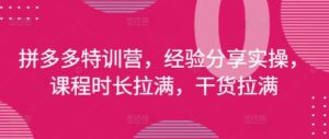 拼多多特训营，经验分享实操，课程时长拉满，干货拉满(更新25年4月)-五六七网创电商学院