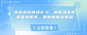 淘宝虚拟项目8.0，用信息差吃透蓝海需求，用矩阵放大收益-五六七网创电商学院