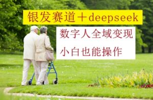 银发赛道+deepseek数字人全域变现，小白也能操作-五六七网创电商学院