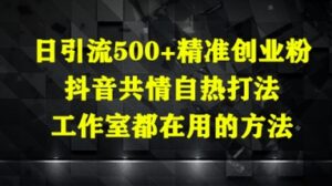 日引流500+精准创业粉，抖音共情自热打法，工作室都在用的方法-五六七网创电商学院
