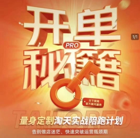 淘宝开单秘籍PRO，量身定制淘天实战陪跑计划，告别做店迷茫、快速突破运营瓶颈期(更新)-五六七网创电商学院