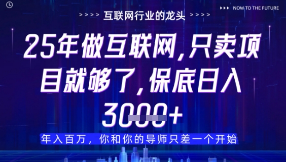 什么！25年你还在找项目做？风口早就变了，卖项目才是稳挣不赔【揭秘】-五六七网创电商学院