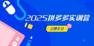2025拼多多实训营：深度剖析运营关键，助力电商人快速提升-五六七网创电商学院