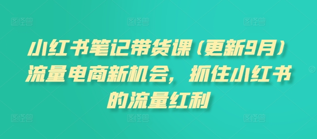 小红书笔记带货课(更新25年4月)流量电商新机会，抓住小红书的流量红利-五六七网创电商学院