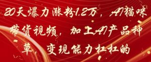 20天爆力涨粉1.2W，AI猫咪带货视频，加上AI产品种草，变现能力杠杠的-五六七网创电商学院