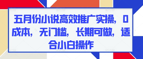 五月份小说高效推广实操，0成本，无门槛，长期可做，适合小白操作-五六七网创电商学院
