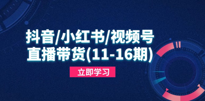 抖音/小红书/视频号/直播带货(11-16期-五六七网创电商学院