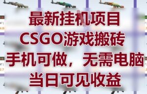 最新挂G项目，CSGO游戏搬砖，手机可做，无需电脑，当日见收益【揭秘】-五六七网创电商学院