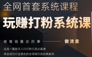 2025行业首套全网全域打粉系统神课，做流量做离钱最近的事，一套新手入行打粉引流必备课-五六七网创电商学院