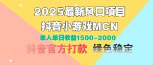 2025最新风口项目 抖音小游戏MCN 单人单日收益1500-2000+-五六七网创电商学院
