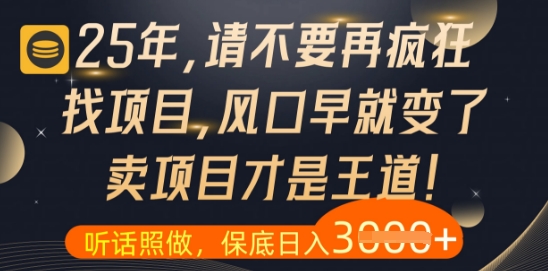 什么？25年你还在疯狂找项目做，醒醒吧，看完这些你全都懂了【揭秘】-五六七网创电商学院