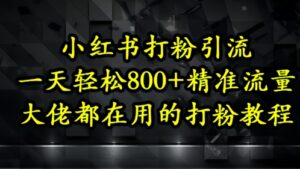 小红书打粉引流，一天轻松500+精准流量，大佬都在用的打粉教程-五六七网创电商学院