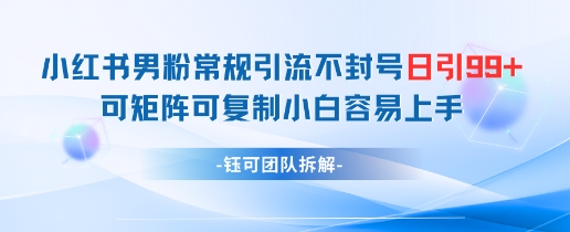 小红书男粉常规引流不封号日引99+变现简单 可矩阵可复制小白容易上手-五六七网创电商学院