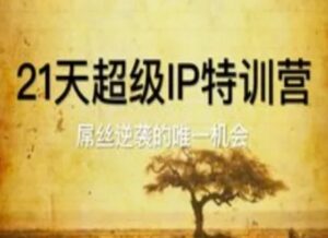 21天超级IP特训营，屌丝逆袭的唯一机会-五六七网创电商学院