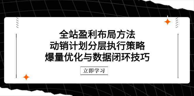 全站盈利布局方法：动销计划分层执行策略，爆量优化与数据闭环技巧-五六七网创电商学院