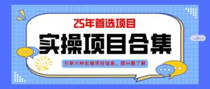 （14767期）2025年实操六大项目实操演练，挂机类型，AI直播类型，轻资产创业类型，…-五六七网创电商学院