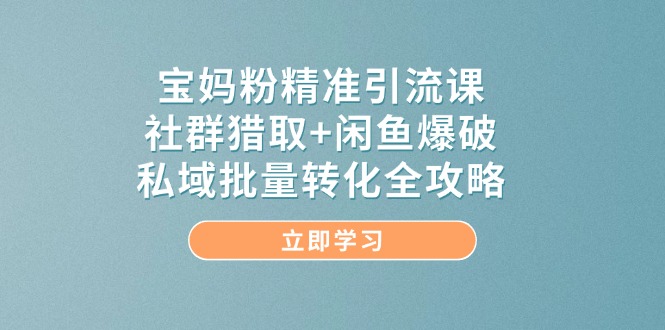 宝妈粉精准引流课，社群猎取+闲鱼爆破，私域批量转化全攻略-五六七网创电商学院