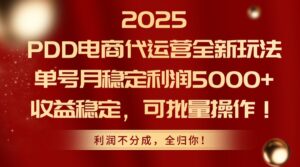 2025PDD电商代运营全新玩法，单号月稳定利润5000+，收益稳定，可批量操作-五六七网创电商学院