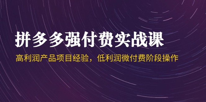 拼多多强付费实战课-44期，高利润产品项目经验，低利润微付费阶段操作-五六七网创电商学院