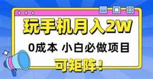 玩玩手机月入20000+，0成本小白必做项目，可矩阵-五六七网创电商学院