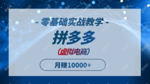 拼多多虚拟电商，零基础实战教学，快速打爆商品，新手也能月入10000+-五六七网创电商学院